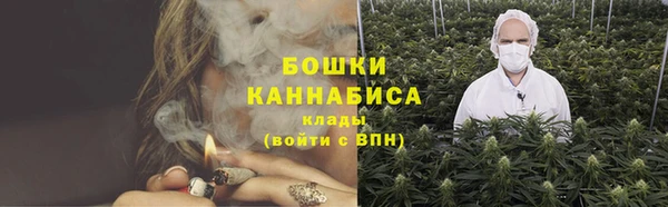 PSILOCYBIN Карталы