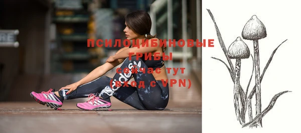 PSILOCYBIN Карталы
