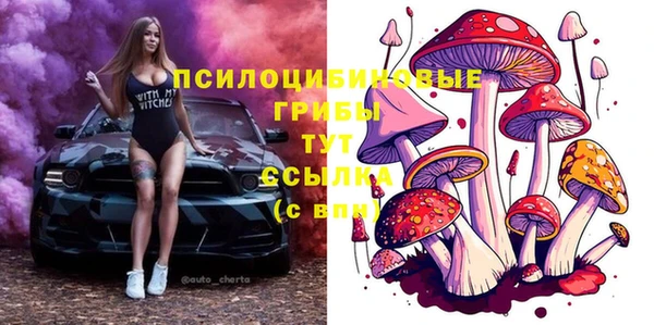 PSILOCYBIN Карталы