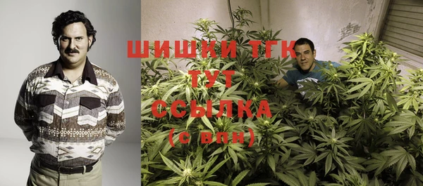 спайс Касимов