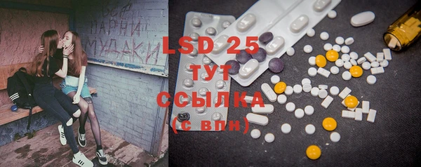 PSILOCYBIN Карталы