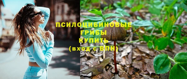 PSILOCYBIN Карталы