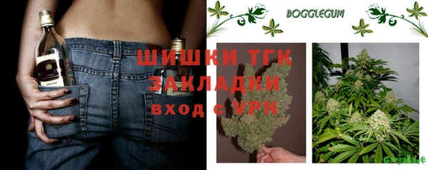 PSILOCYBIN Карталы
