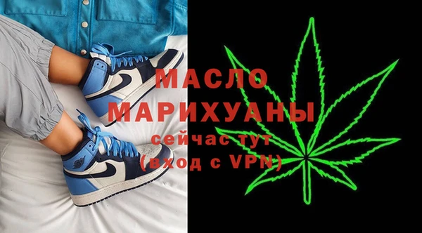 тгк Каменка