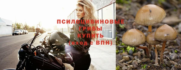 гидра Каменногорск