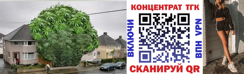 Купить закладки  Демидов  Дистиллят ТГК вейп с тгк 